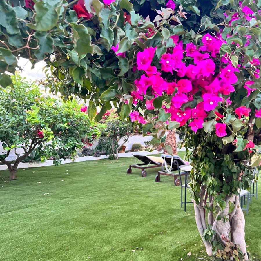Fronte Mare Villa San Vito  Dış mekan fotoğraf